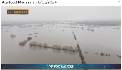 TG AGRIFOOD del 6 novembre - Dall&#039;Europa un miliardo per i danni da maltempo in agricoltura … - (Video)