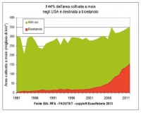 Energia USA: tutti pazzi per il Biofuel