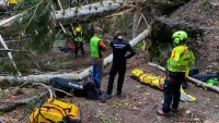 Cade da un albero per scattare una foto. Grave una donna di 59 anni