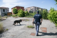 Proseguono serrati i controlli sul territorio