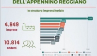 Appennino Reggiano, segnali di ripresa per il commercio e Plv agricola in aumento