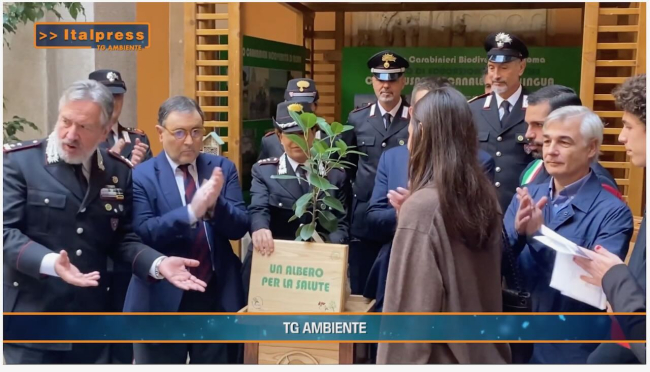 TG AMBIENTE del 3 novembre 2024 - La transizione eco-digital necessaria per sette italiani su dieci … - (Video)