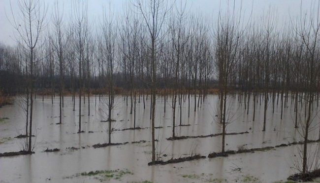 Alluvione, l&#039;Azienda Usl di Modena assicura che non ci sia nessuna emergenza di tipo sanitario