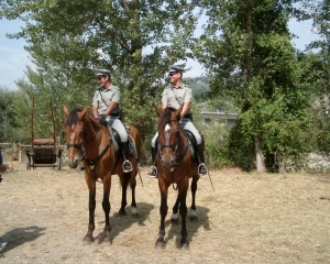 Corpo forestale a cavallo