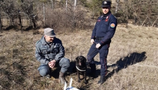 Trappole e bocconi avvelenati a Ramiola: intervengono Carabinieri Forestali e Polizia Provinciale