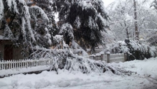 Reggio Emilia - Neve e black-out, danni già per 42,5 milioni di euro