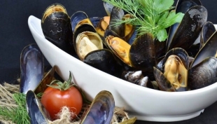 Cozze dalla Grecia contaminate da salmonella, allarme in Italia