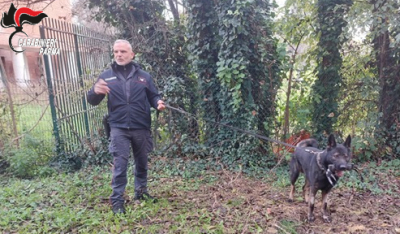 Lotta alla droga: carabinieri nelle scuole, con l’impiego di  unita’ cinofile per controlli e prevenzione.