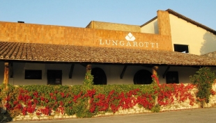 Lungarotti: cantine aperte a Natale