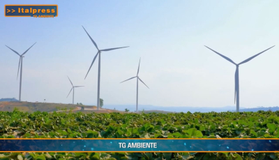 TG AMBIENTE del 5 gennaio  2025 …-  Rinnovabili, aiuti per 9,7 miliardi dall&#039;Unione europea  - (Video)