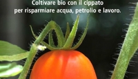 Cippato, un concime prezioso per la terra