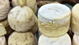 Formaggio contaminato: allerta del Ministero della Salute per casi di Sindrome Emolitico Uremica