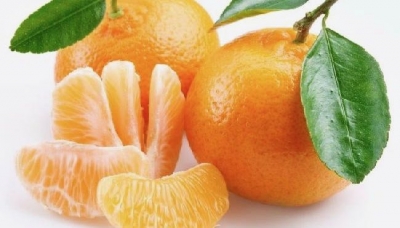 Elogio del mandarino. Un toccasana per la nostra salute.