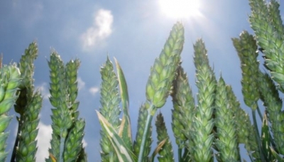 UniCredit per il settore agroalimentare: focus presso il Tecnopolo di Reggio Emilia