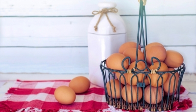 Mangiare un uovo ogni giorno riduce il rischio di malattie cardiache. Sarà vero?