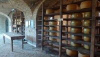 Spalliera di Parmigiano Reggiano d&#039;alta stagionatura in una cantina privata