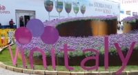 Vinitaly, fotografia dell’export degli espositori