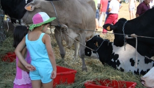 Mostra bovina e aspiranti allevatrici