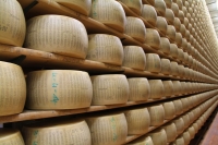 Lattiero Caseario: Prima sensibile flessione del Grana Padano