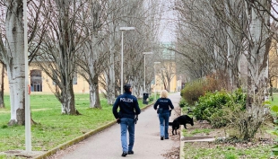 Attività di controllo straordinario del territorio per il contrasto allo spaccio