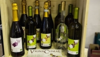 A &quot;Gusto in scena&quot; i vini di Vigna Cunial dei colli parmensi