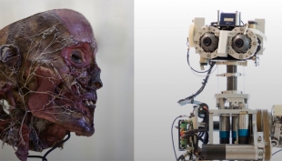 &quot;La fabbrica dei corpi, dall&#039;anatomia alla robotica&quot;. Successo della mostra al Palazzo del Governatore