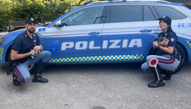 La Polizia di Stato salva dei gattini abbandonati in autostrada