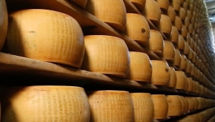 Parmigiano Reggiano a rischio bolla. L&#039;allarme di Confcooperative Reggio.