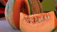 Meloni - dall'Australia pericolo listeriosi. Allarme del Ministero della Salute