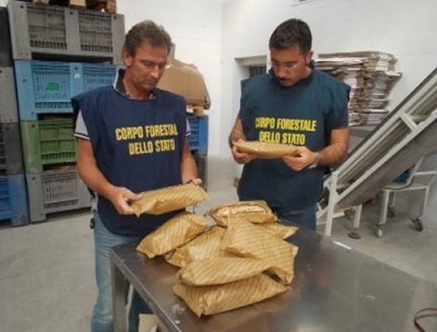 Sicurezza agroalimentare, maxi sequestro di finta pasta made in Puglia.