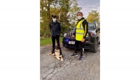 Soccorso cani insieme al Dog Rescue di Langhirano