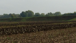 AGRICOLTURA: per la sovranità alimentare cruciale sarà la norma sul consumo di suolo