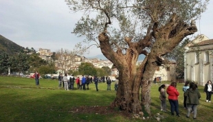 Dal contrasto al bracconaggio al nucleo antincendio. I programmi di Ekoclub per l&#039;antico Borgo di Venafro