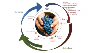 Industria agroalimentare. Nasce “Legàmi di Vite”, un importante contratto di sviluppo “green” nel comparto vitivinicolo. Interventi per oltre 115 milioni di euro di cui 81 milioni sul versante ambientale