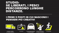 Infografica: la situazione della creatività moderna