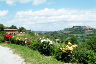 “Fattoria Il Pulcino”: la cucina toscana si fa come una volta