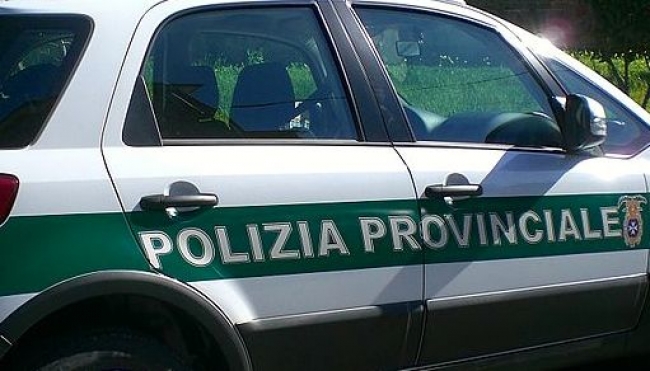 Reggio Emilia, Caccia le anatre con fucile irregolare: denunciato modenese