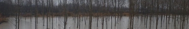Modena - Alluvione, Rete Imprese sulla bozza dell&#039;Ordinanza Regionale per i contributi alle imprese alluvionate