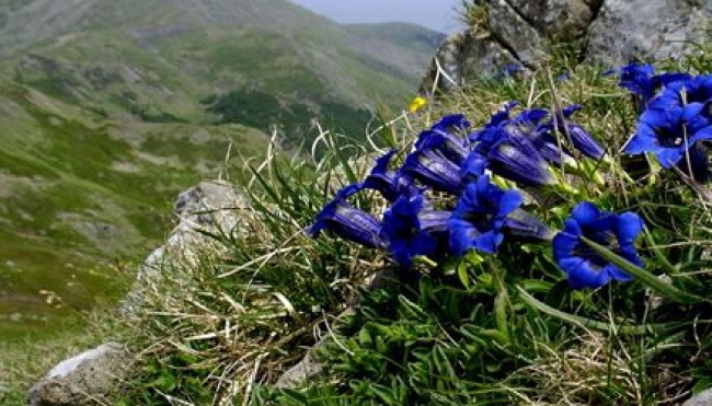 Appennino modenese, andamento stagione turistica in calo del 10%