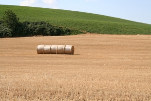 Raggiunto l&#039;accordo sulla Pac, Marini: &quot;Premiati i veri agricoltori&quot;