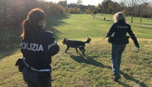 L&#039;intensa attività della Polizia di Stato nel fine settimana.