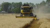 Cereali. Centri di stoccaggio in Italia.