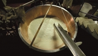 Scalera di Parmigiano Reggiano