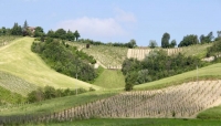 Vigneti Piacentini