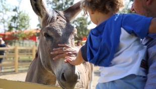 Grande successo per il Rural Festival delle famiglie