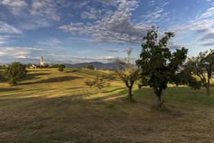Riserva di Biosfera MAB Appennino: nasce il Manifesto per il Paesaggio del Parmigiano Reggiano di Montagna