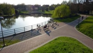 Cadavere nel lago, giallo a Castelnuovo Rangone