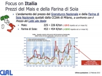 MAIS  e SOIA dati previsionali per 2012-13 (Elab. Marzo 2013)