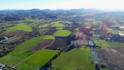 AGRICOLTURA, M5S: fatta chiarezza su finanziamenti opere idriche, regioni cambino passo 
