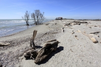 La resilienza degli ecosistemi dell'Adriatico e l'impatto dell'attività umana sulle aree costiere